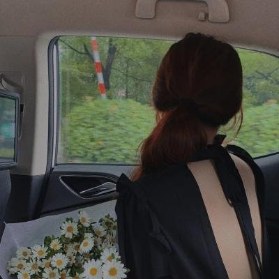 春情妃子