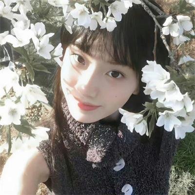 豪姬